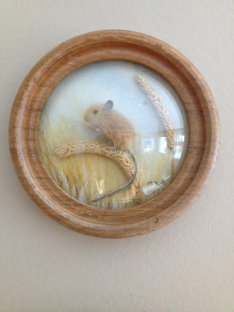 Harvest Mouse (Version 3)